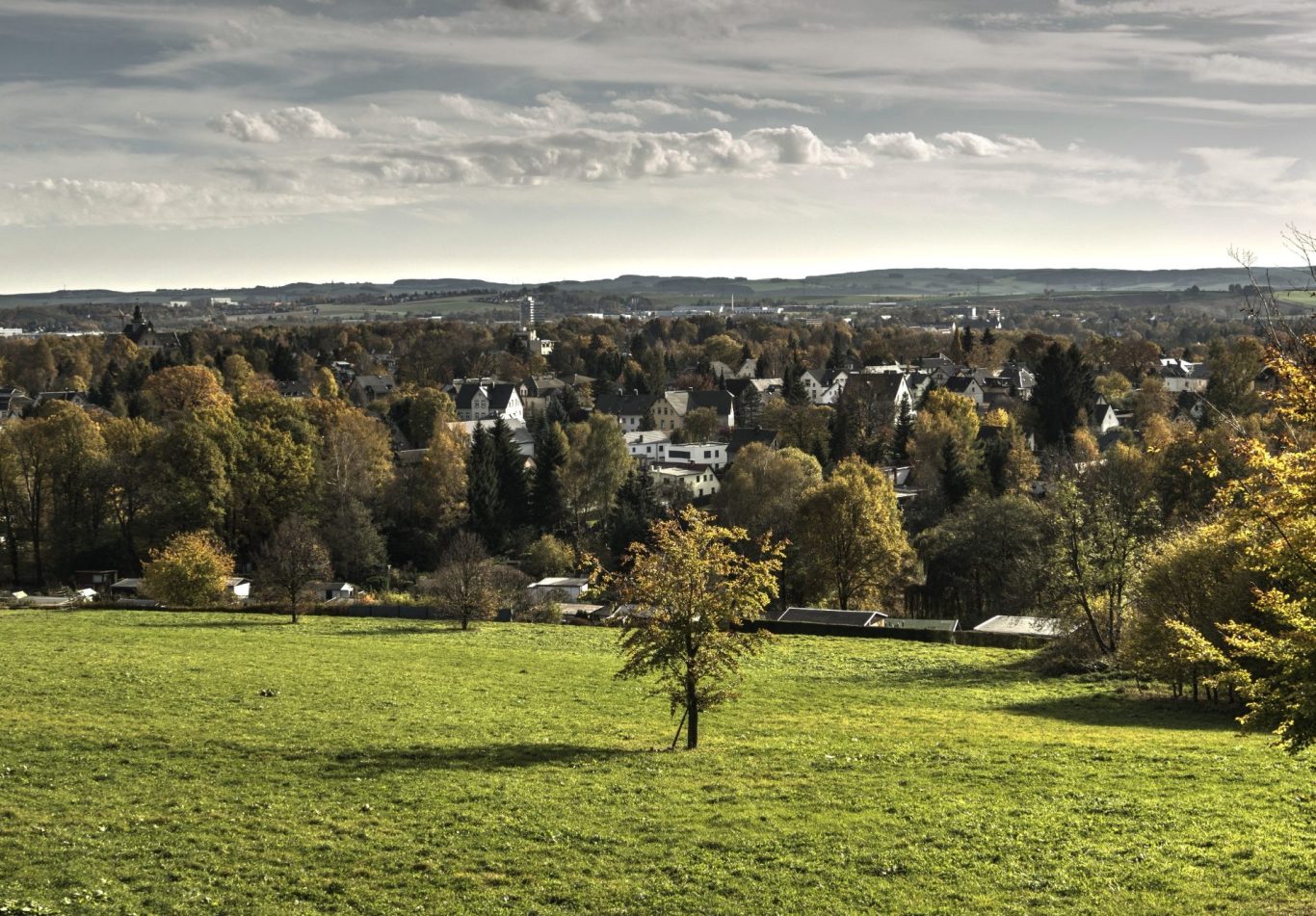 Privatdetektiv Chemnitz Blick auf eine grüne Landschaft mit Bäumen und einer Stadt im Hintergrund.