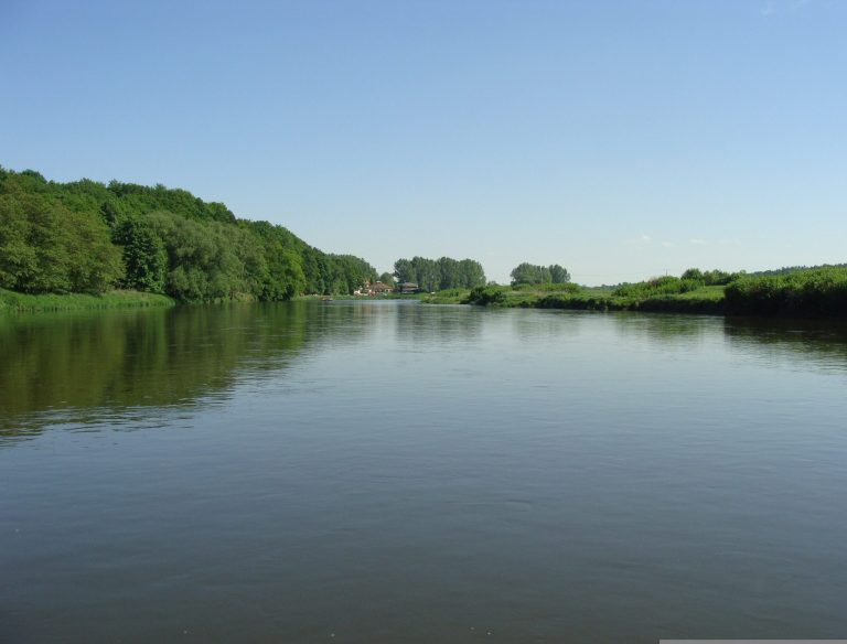 Ruhiger Fluss in Grimma mit grünem Ufer und klarem, blauem Himmel.